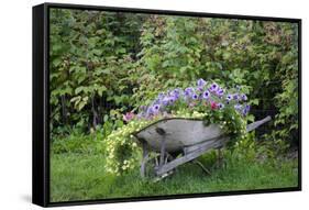 USA, Alaska, Chena Hot Springs. Old wheelbarrow with flowers.-Jaynes Gallery-Framed Stretched Canvas