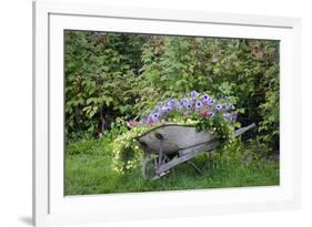 USA, Alaska, Chena Hot Springs. Old wheelbarrow with flowers.-Jaynes Gallery-Framed Photographic Print