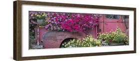 USA, Alaska, Chena Hot Springs. Panorama of old truck and flowers.-Jaynes Gallery-Framed Photographic Print