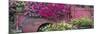 USA, Alaska, Chena Hot Springs. Panorama of old truck and flowers.-Jaynes Gallery-Mounted Photographic Print