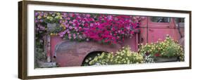 USA, Alaska, Chena Hot Springs. Panorama of old truck and flowers.-Jaynes Gallery-Framed Premium Photographic Print