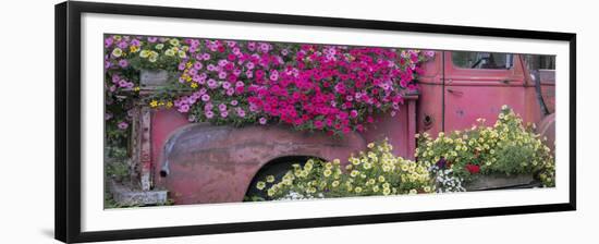 USA, Alaska, Chena Hot Springs. Panorama of old truck and flowers.-Jaynes Gallery-Framed Premium Photographic Print