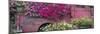 USA, Alaska, Chena Hot Springs. Panorama of old truck and flowers.-Jaynes Gallery-Mounted Premium Photographic Print