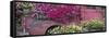 USA, Alaska, Chena Hot Springs. Panorama of old truck and flowers.-Jaynes Gallery-Framed Stretched Canvas