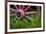 USA, Alaska, Chena Hot Springs. Vintage wagon wheel and grass.-Jaynes Gallery-Framed Premium Photographic Print