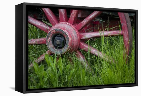 USA, Alaska, Chena Hot Springs. Vintage wagon wheel and grass.-Jaynes Gallery-Framed Stretched Canvas