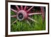 USA, Alaska, Chena Hot Springs. Vintage wagon wheel and grass.-Jaynes Gallery-Framed Photographic Print