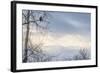 USA, Alaska, Chilkat Bald Eagle Preserve, bald eagle, and snowy mountains-Jaynes Gallery-Framed Photographic Print