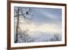 USA, Alaska, Chilkat Bald Eagle Preserve, bald eagle, and snowy mountains-Jaynes Gallery-Framed Premium Photographic Print