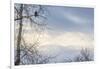 USA, Alaska, Chilkat Bald Eagle Preserve, bald eagle, and snowy mountains-Jaynes Gallery-Framed Photographic Print