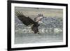 USA, Alaska, Chilkat Bald Eagle Preserve, bald eagle, landing-Jaynes Gallery-Framed Photographic Print