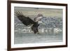 USA, Alaska, Chilkat Bald Eagle Preserve, bald eagle, landing-Jaynes Gallery-Framed Premium Photographic Print