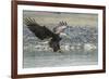 USA, Alaska, Chilkat Bald Eagle Preserve, bald eagle, landing-Jaynes Gallery-Framed Premium Photographic Print