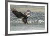USA, Alaska, Chilkat Bald Eagle Preserve, bald eagle, landing-Jaynes Gallery-Framed Premium Photographic Print