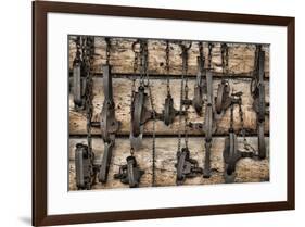 USA, Alaska. Collection of old traps hang on log cabin wall.-Jaynes Gallery-Framed Premium Photographic Print