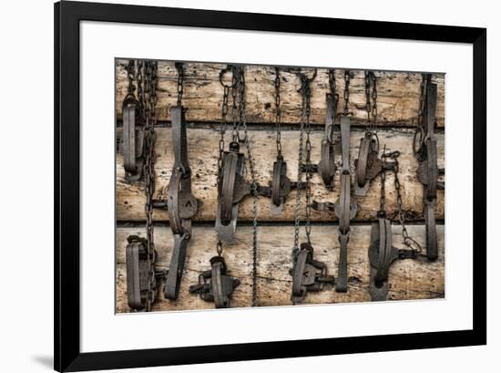 USA, Alaska. Collection of old traps hang on log cabin wall.-Jaynes Gallery-Framed Premium Photographic Print