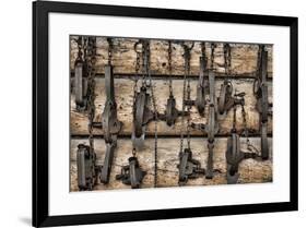 USA, Alaska. Collection of old traps hang on log cabin wall.-Jaynes Gallery-Framed Premium Photographic Print