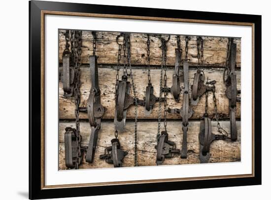 USA, Alaska. Collection of old traps hang on log cabin wall.-Jaynes Gallery-Framed Premium Photographic Print