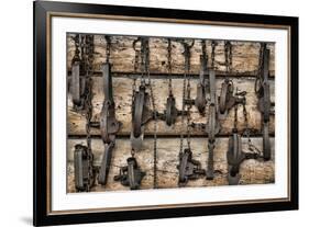 USA, Alaska. Collection of old traps hang on log cabin wall.-Jaynes Gallery-Framed Premium Photographic Print