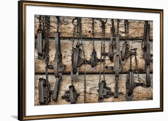 USA, Alaska. Collection of old traps hang on log cabin wall.-Jaynes Gallery-Framed Premium Photographic Print