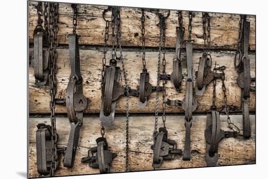 USA, Alaska. Collection of old traps hang on log cabin wall.-Jaynes Gallery-Mounted Premium Photographic Print