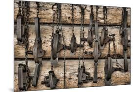 USA, Alaska. Collection of old traps hang on log cabin wall.-Jaynes Gallery-Mounted Premium Photographic Print