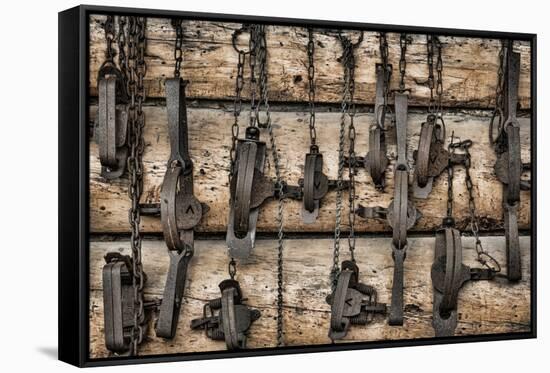 USA, Alaska. Collection of old traps hang on log cabin wall.-Jaynes Gallery-Framed Stretched Canvas