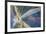 USA, Alaska. Cracked auto glass.-Jaynes Gallery-Framed Premium Photographic Print