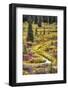 USA, Alaska, Denali Highway scenery in the fall.-Savanah Stewart-Framed Photographic Print