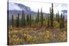 USA, Alaska, Denali Highway scenery in the fall.-Savanah Stewart-Stretched Canvas