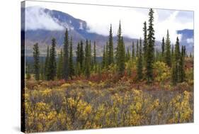 USA, Alaska, Denali Highway scenery in the fall.-Savanah Stewart-Stretched Canvas