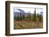 USA, Alaska, Denali Highway scenery in the fall.-Savanah Stewart-Framed Photographic Print
