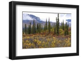 USA, Alaska, Denali Highway scenery in the fall.-Savanah Stewart-Framed Photographic Print