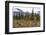 USA, Alaska, Denali Highway scenery in the fall.-Savanah Stewart-Framed Photographic Print