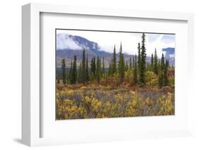 USA, Alaska, Denali Highway scenery in the fall.-Savanah Stewart-Framed Photographic Print