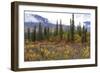 USA, Alaska, Denali Highway scenery in the fall.-Savanah Stewart-Framed Photographic Print