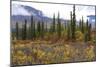 USA, Alaska, Denali Highway scenery in the fall.-Savanah Stewart-Mounted Photographic Print