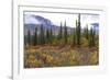 USA, Alaska, Denali Highway scenery in the fall.-Savanah Stewart-Framed Photographic Print