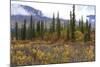 USA, Alaska, Denali Highway scenery in the fall.-Savanah Stewart-Mounted Photographic Print