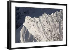 USA, Alaska, Denali, Mount Mckinley Foothills-John Ford-Framed Photographic Print