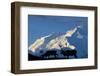 USA, Alaska, Denali National Park, Bull Caribou and Mt. McKinley-Paul Souders-Framed Photographic Print