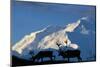 USA, Alaska, Denali National Park, Bull Caribou and Mt. McKinley-Paul Souders-Mounted Photographic Print