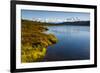 USA, Alaska, Denali National Park, fall colors, Denali-George Theodore-Framed Photographic Print