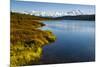 USA, Alaska, Denali National Park, fall colors, Denali-George Theodore-Mounted Photographic Print