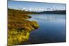 USA, Alaska, Denali National Park, fall colors, Denali-George Theodore-Mounted Photographic Print