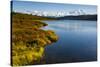 USA, Alaska, Denali National Park, fall colors, Denali-George Theodore-Stretched Canvas