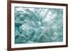 USA, Alaska, Endicott Arm. Detail of iceberg shapes.-Jaynes Gallery-Framed Photographic Print