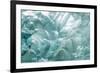 USA, Alaska, Endicott Arm. Detail of iceberg shapes.-Jaynes Gallery-Framed Photographic Print