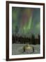 USA, Alaska, Fairbanks. a Quinzee Snow Shelter and Aurora Borealis-Cathy & Gordon Illg-Framed Premium Photographic Print