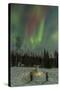 USA, Alaska, Fairbanks. a Quinzee Snow Shelter and Aurora Borealis-Cathy & Gordon Illg-Stretched Canvas